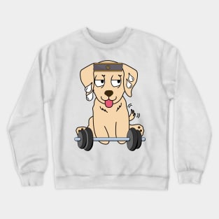 Funny retriever is exercising Crewneck Sweatshirt